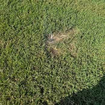 McCormickWerks - This is the replacement head that is not spraying anything - General Contractors Near Me - Anahuac, Texas