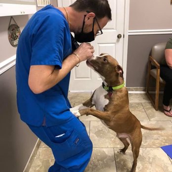 Animal Wellness Center - Veterinarians Near Me - Saint Augustine, Florida Animal Wellness Center - Veterinarians Near Me - Saint Augustine, Florida