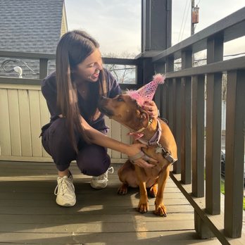 Buckman Veterinary Clinic - Veterinarians Near Me - Portland, Oregon
