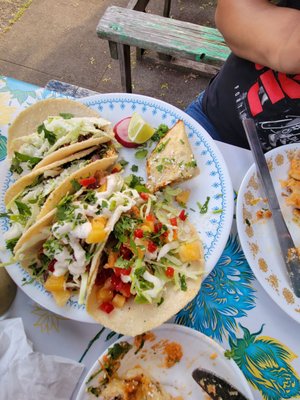 Taco Pedaler by null