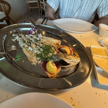 Theos Estiatorio - Bronzino - Greek Near Me - Fort Lauderdale, Florida