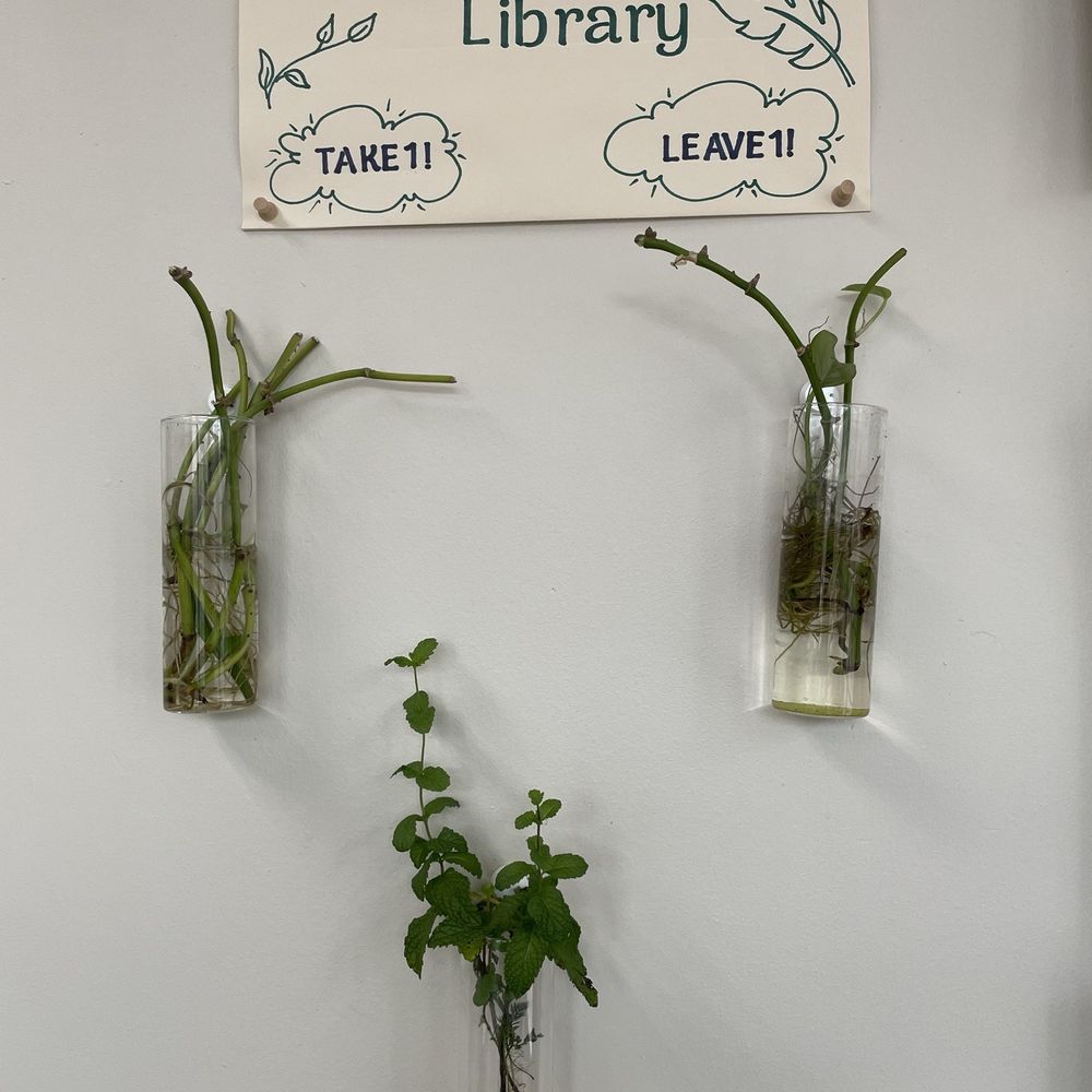 Plant propagation