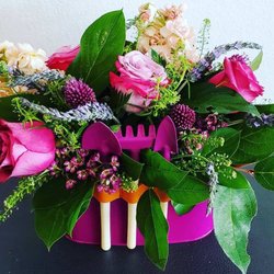 Accent Floral & Galleria