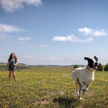 Double J Pet Ranch - 2 acre play area. Your pups have can stretch their legs out multiple times a day - Pet Sitting Near Me - Colorado Springs, Colorado Double J Pet Ranch - 2 acre play area. Your pups have can stretch their legs out multiple times a day - Pet Sitting Near Me - Colorado Springs, Colorado