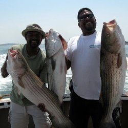 Boston Fish Tales | Sports Fishing Charters