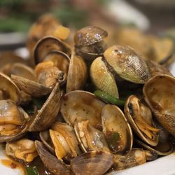 Cafe Hong Kong - clam with black beam sauce