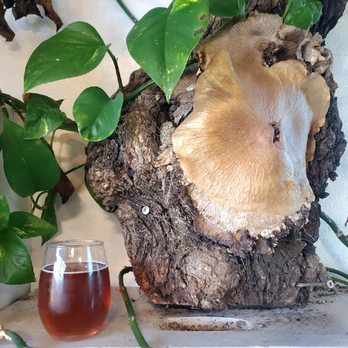 Meadiocrity Mead - Meaderies Near Me - San Marcos, California