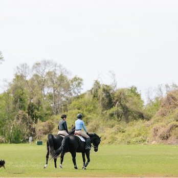 Kiawah River Stables - Horse Boarding Near Me - Johns Island, South Carolina Kiawah River Stables - Horse Boarding Near Me - Johns Island, South Carolina