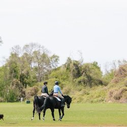 Kiawah River Stables