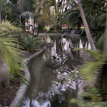 Bahia Resort Hotel - I took the long way back to the room because look at the cute pathway i mean who wouldn't wanna do the extra steps thru this little jungle - San Diego, CA