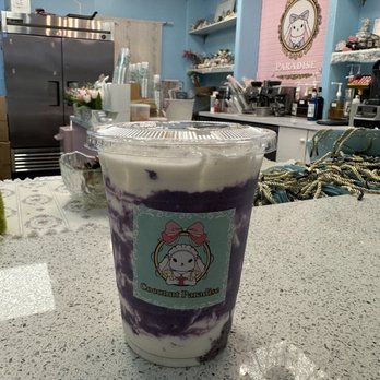 Coconut Paradise - D7. Coconut Milk with Fresh Made Purple Sticky Rice, Ube and Taro - Desserts Near Me - Carrollton, Texas