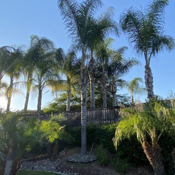 Marcelino's Tree Service - Tree Services Near Me - Hemet, California