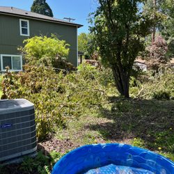 Junk Solution Plus - Tree Debris/Brush Removal before