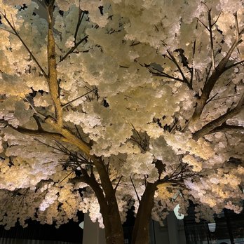 Janken - Beautiful cherry blossom tree decor - Japanese Near Me - Portland, Oregon Janken - Beautiful cherry blossom tree decor - Japanese Near Me - Portland, Oregon
