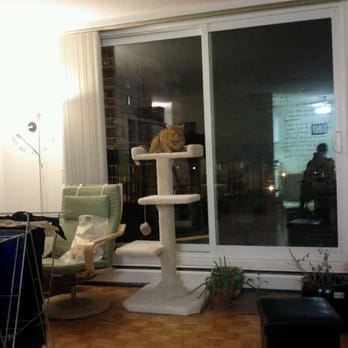 Catman Cat Furniture - Pet Stores Near Me Catman Cat Furniture - Pet Stores Near Me
