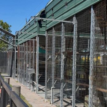 Big Cat Habitat - Small cages that were a concrete slab and metal fencing, one of them had a mandrill in it. - Zoos Near Me - Sarasota, Florida Big Cat Habitat - Small cages that were a concrete slab and metal fencing, one of them had a mandrill in it. - Zoos Near Me - Sarasota, Florida