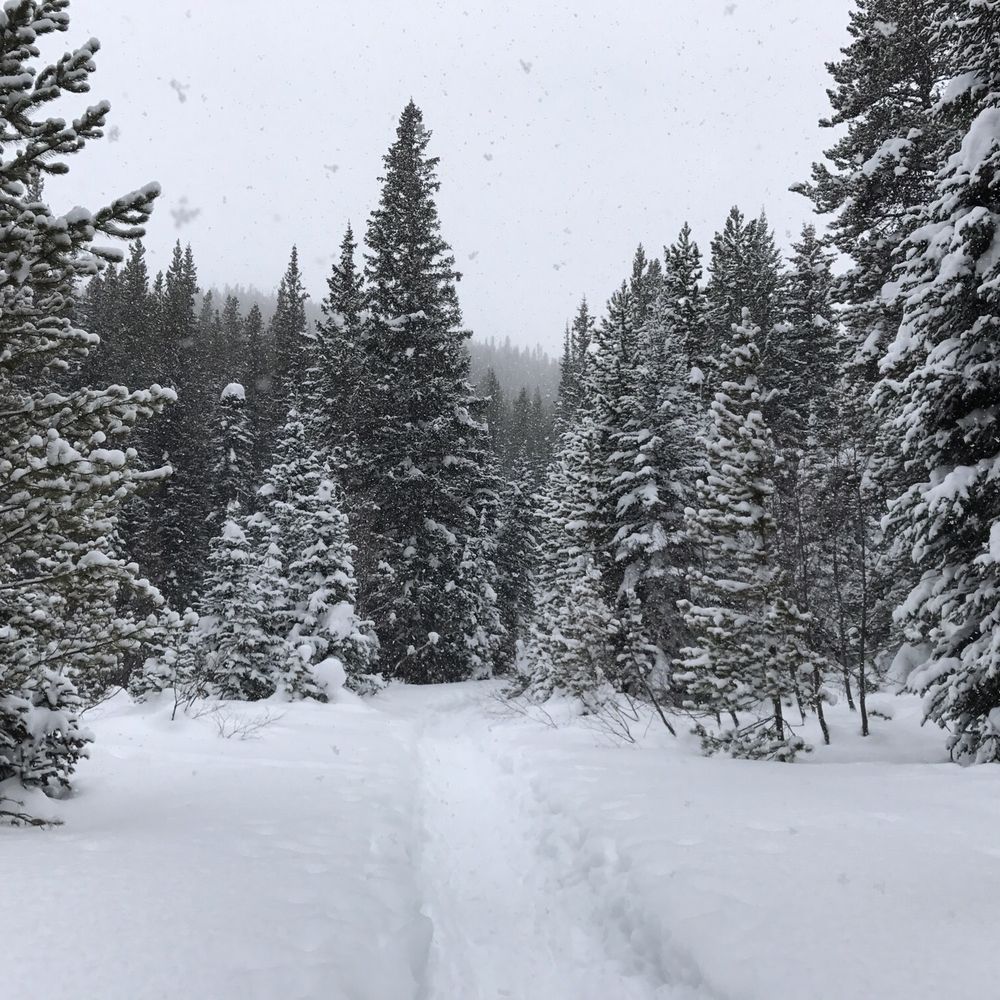 Hessie Trailhead - Hiking Near Me - Nederland, Colorado Hessie Trailhead - Hiking Near Me - Nederland, Colorado
