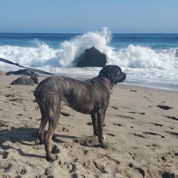 Leo Carrillo State Park - Parks Near Me - Malibu, California