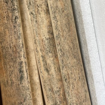 The Home Depot - Hazardous Mold on Kids Bed From Home Depot - Nurseries & Gardening Near Me - Las Vegas, Nevada