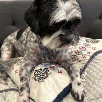 PetSmart - Pet Stores Near Me - Queen Creek, Arizona