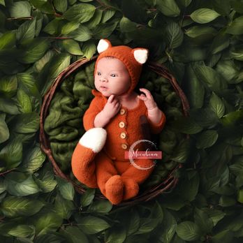 Moonbeam Photography - Baby Fox - Session Photography Near Me - North Myrtle Beach, South Carolina Moonbeam Photography - Baby Fox - Session Photography Near Me - North Myrtle Beach, South Carolina