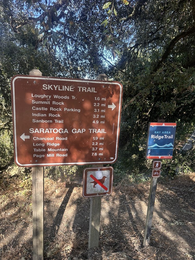 Skyline Trail Logo