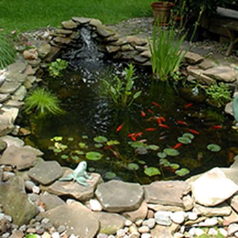 Balboni's Landscape Design - a small pond with a fountain - Landscaping Near Me Balboni's Landscape Design - a small pond with a fountain - Landscaping Near Me