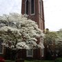 Photo of Trinity On The Hill