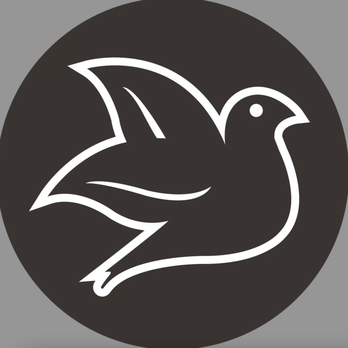 Purchase Green Artificial Grass - Charlotte - a white dove on a black background - Artificial Turf Near Me - Charlotte, North Carolina Purchase Green Artificial Grass - Charlotte - a white dove on a black background - Artificial Turf Near Me - Charlotte, North Carolina