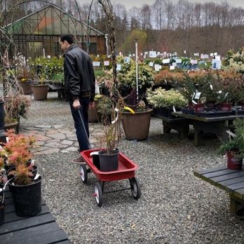 Central Valley Nursery - Nice selection of small shrubs, perennials, groundcovers, shade plants, including quite mature specimens. - Nurseries & Gardening Near Me - Poulsbo, Washington