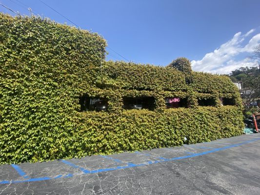 Casita Del Campo by null