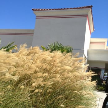 In-N-Out Burger - Windy Cat Tails! - Burgers Near Me - Corona, California In-N-Out Burger - Windy Cat Tails! - Burgers Near Me - Corona, California