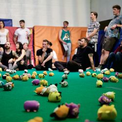 Play More - We use brightly colored, soft and fluffy critters in our workshop to create exciting challenges for the group.