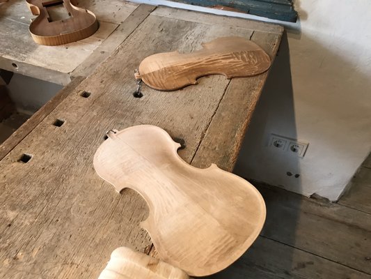 Geigenbaumuseum by null