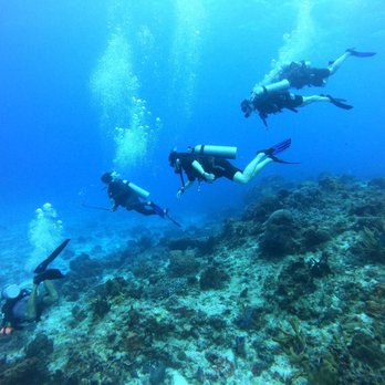 Cozumel Dive School - Palancar Bricks - Scuba Diving Near Me - Cozumel, ROO