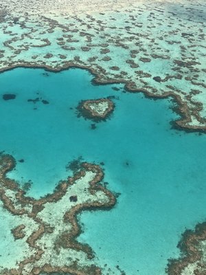 Great Barrier Reef by null