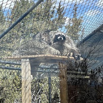 Animal Ark - Zoos Near Me - Reno, Nevada