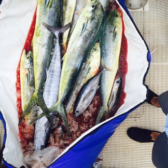 Apex Charters - Fishing Near Me - Lihue, Hawaii