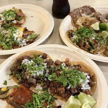 The Wolf Of Tacos - Tacos Near Me - Miami, Florida