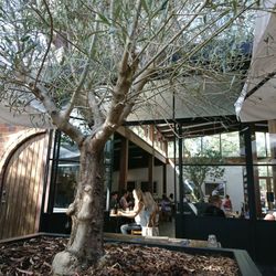 Second Home - Courtyard looking in
