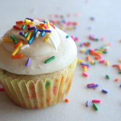 White Oak Bakery - Birthday Cake cupcake