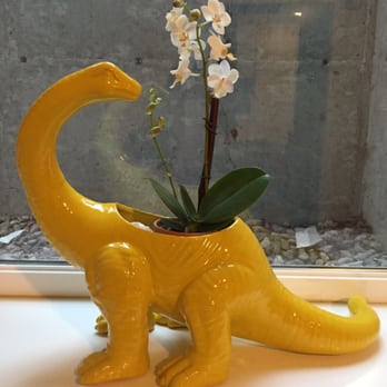 Retrofit Home - Bought this awesome Dino planter - Furniture Stores Near Me - Seattle, Washington Retrofit Home - Bought this awesome Dino planter - Furniture Stores Near Me - Seattle, Washington