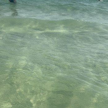 Henderson Beach State Park - Beaches Near Me - Destin, Florida Henderson Beach State Park - Beaches Near Me - Destin, Florida