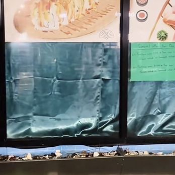 Sushi Island - A shower curtain to prevent other people of seeing their pet rats - Sushi Bars Near Me - Elmhurst, New York