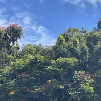 Kailua - Local Flavor Near Me