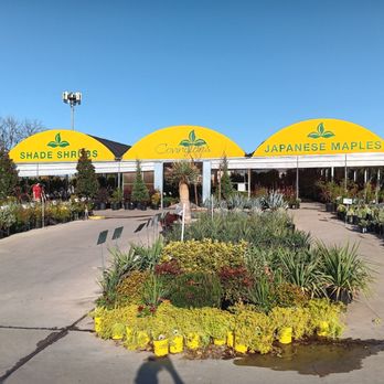Covington's Nursery & Landscape - Nurseries & Gardening Near Me - Rowlett, Texas