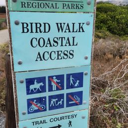 A nice hike in   Bodega Bay.