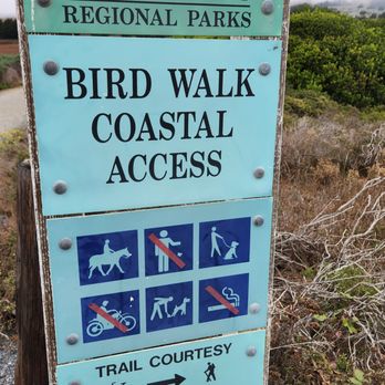 Bodega Bay Inn - A nice hike in   Bodega Bay. - Hotels Near Me - Bodega Bay, California