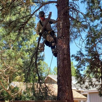 Josh Boggs Tree Service - Tree Services Near Me Josh Boggs Tree Service - Tree Services Near Me