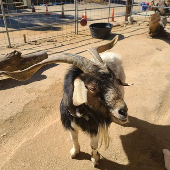 Reptacular Animals - Party & Event Planning Near Me - Sun Valley, California Reptacular Animals - Party & Event Planning Near Me - Sun Valley, California